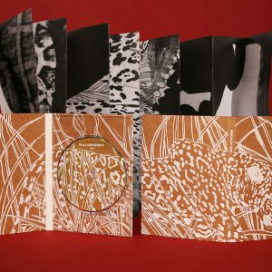 (DVD) Largo do Machado